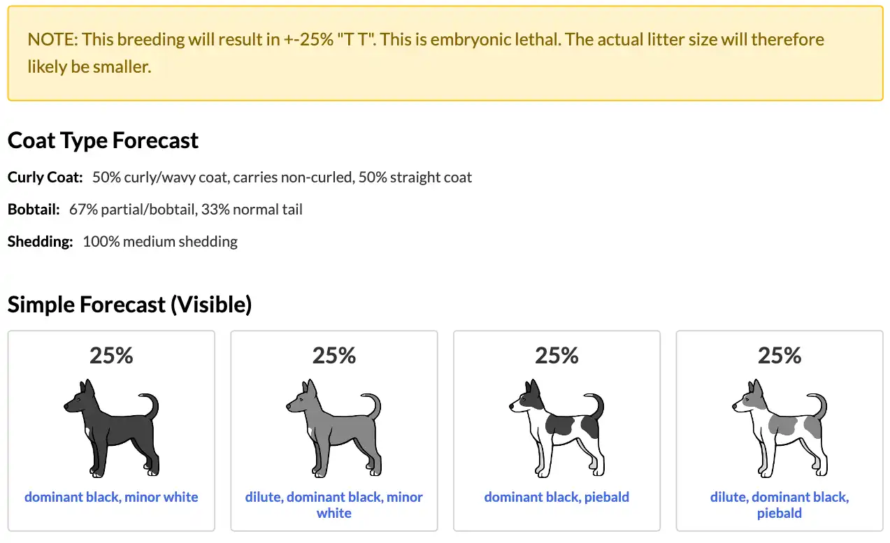 Simple Forecast section of the Coat Color Forecast report. Each possible litter outcome is shown with a percentage probability, a custom illustration of a dog in that color and pattern, and a label describing the visible coat color and type.