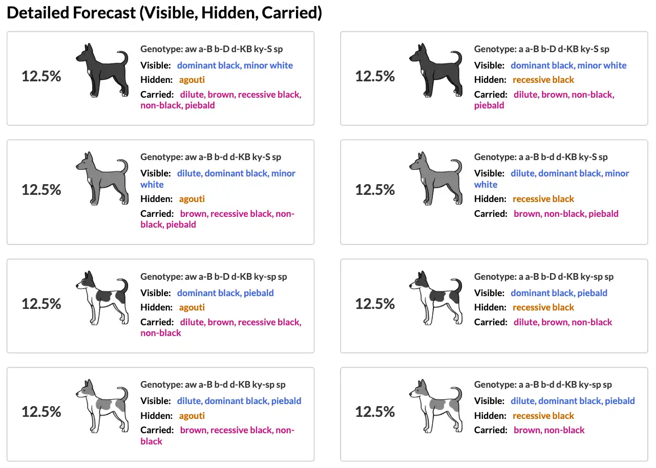 Detailed Forecast section showing each possible litter outcome with a custom illustration, the full genotype, a list of visible color traits, hidden traits that are masked by other genes, and carried recessive traits. Each category is color-coded to distinguish them.