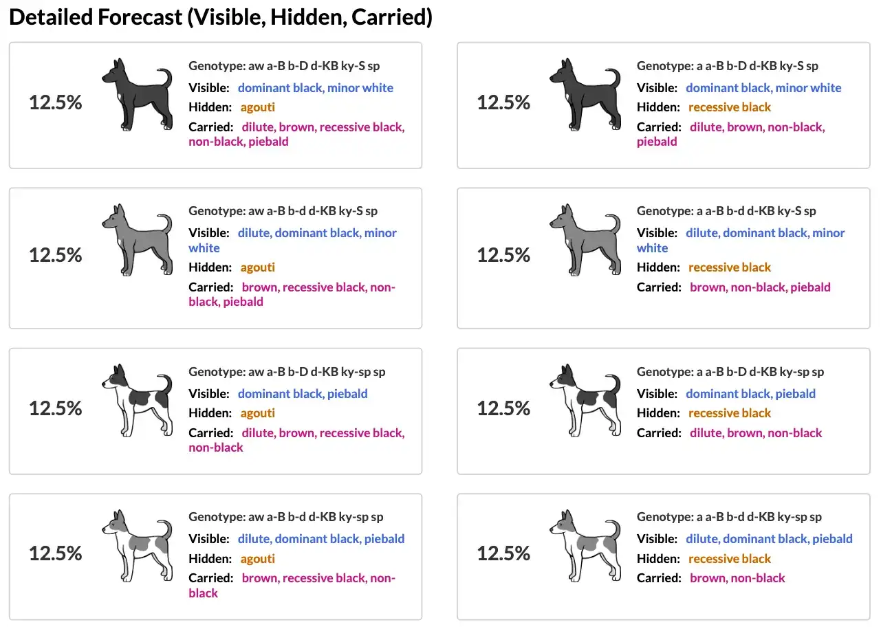 [PT] Detailed Forecast section showing each possible litter outcome with a custom illustration, the full genotype, a list of visible color traits, hidden traits that are masked by other genes, and carried recessive traits.